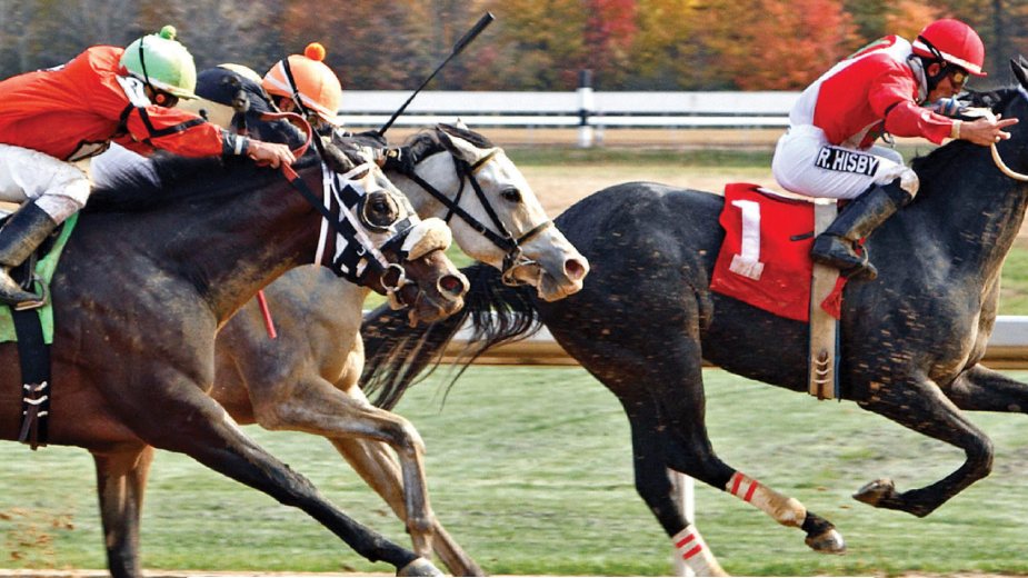 Mahoning Valley Horse Racing